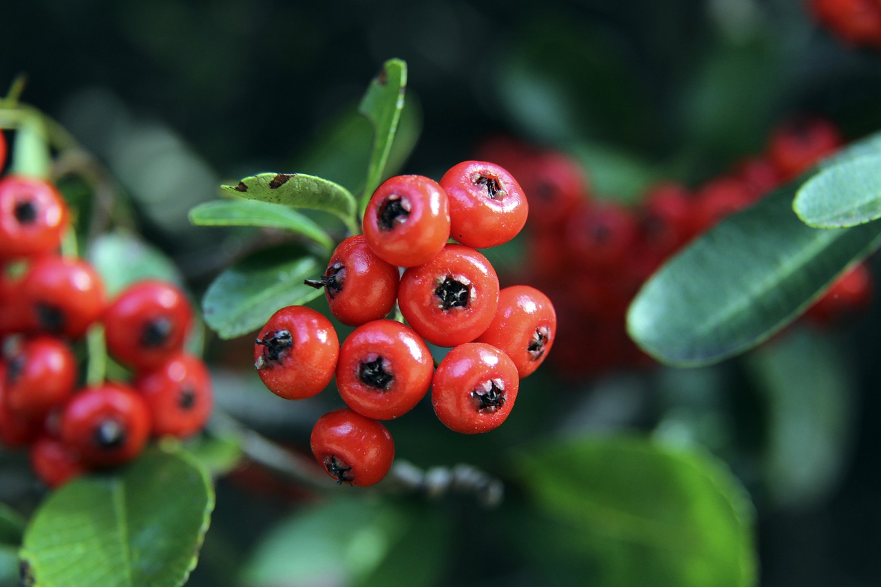 马卡：梅西参观诺坎普引发回归猜测，而美职联支持短期租借